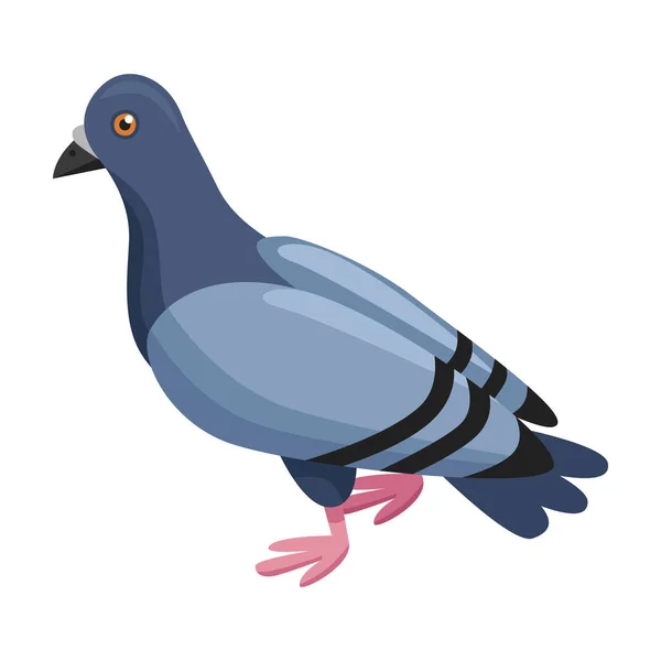 Icône vectorielle colombe de paix.Icône vectorielle de bande dessinée isolée sur fond blanc colombe de paix . — Image vectorielle