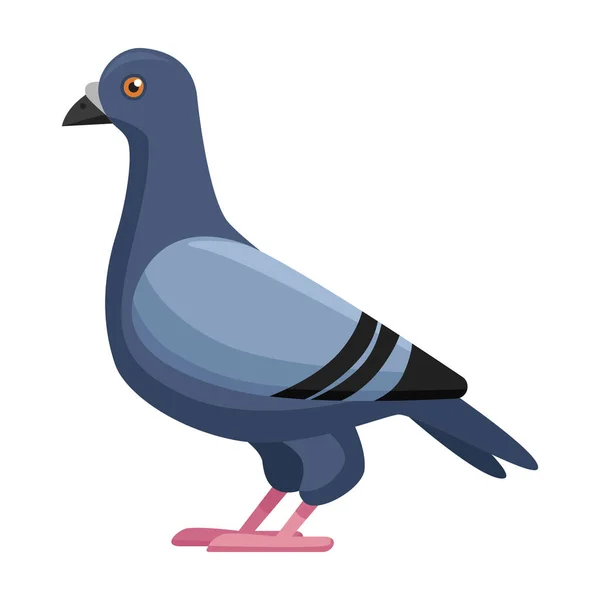 Icône vectorielle pigeon.Icône vectorielle de dessin animé isolée sur fond blanc pigeon. — Image vectorielle