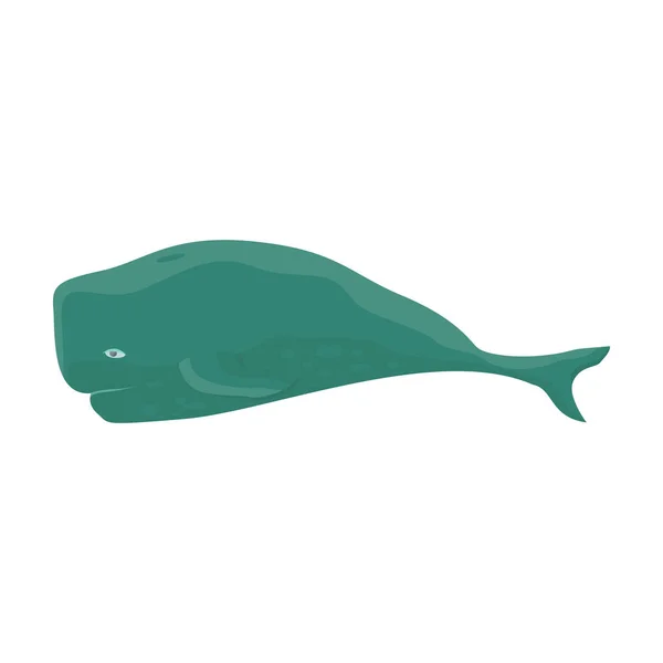 Icono de vector de esperma de ballena. Icono de vector de dibujos animados aislado en el fondo blanco esperma de ballena . — Vector de stock