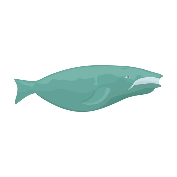 Whale vector icon.Cartoon vector icon isolated on white background whale. — Stock Vector