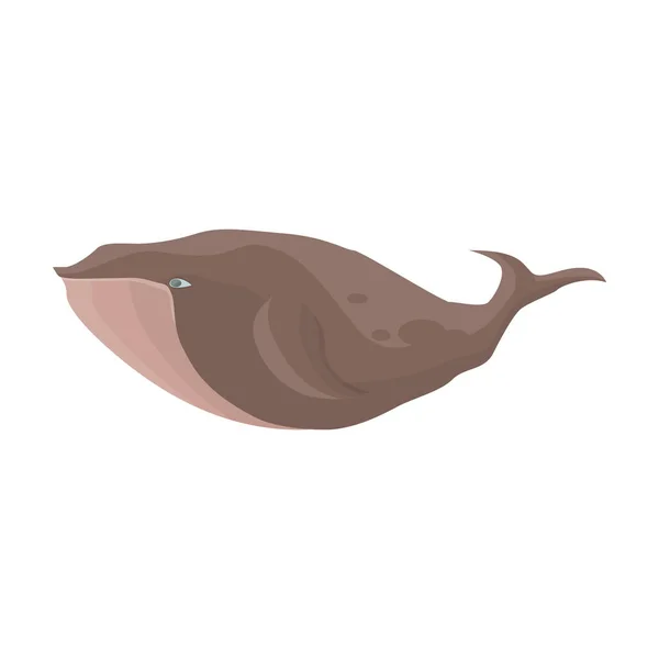 Walvis vector icon.Cartoon vector pictogram geïsoleerd op witte achtergrond walvis. — Stockvector