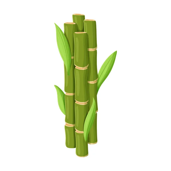 Stem of sugar cane vector icon.Cartoon vector icon isolated on white background stem of sugar cane . — Stock Vector