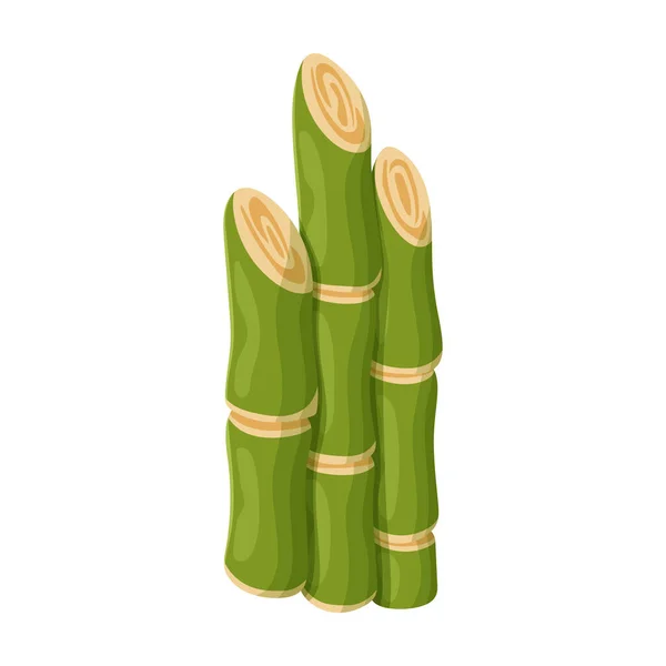Stamm des Zuckerrohrvektors icon.cartoon Vektor-Symbol isoliert auf weißem Hintergrund Stamm des Zuckerrohrs . — Stockvektor