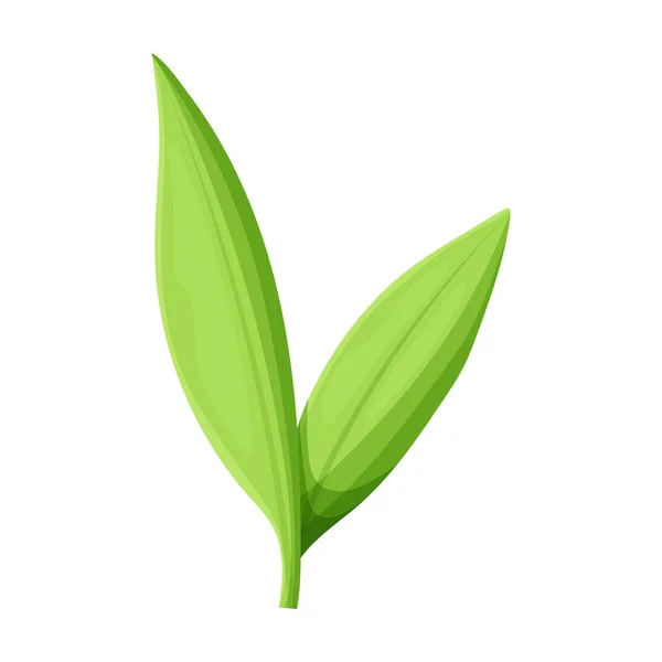 Φύλλα από ζαχαροκάλαμο διάνυσμα εικονίδιο φορέα κινουμένων σχεδίων που απομονώνονται σε λευκό φόντο φύλλα ζαχαροκάλαμου . — Διανυσματικό Αρχείο