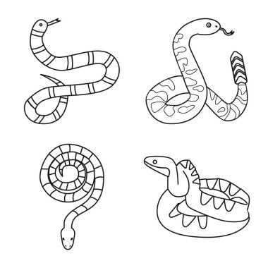 Yılanın izole edilmiş bir nesnesi ve ürkütücü bir sembol. Stok için yılan koleksiyonu ve tehlike vektör simgesi.