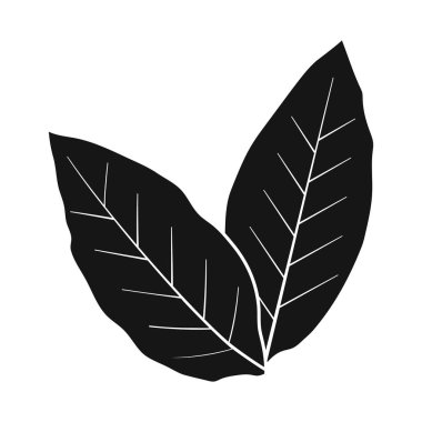 Yaprak ve yeşil ikonun vektör çizimi. Yaprak ve çay stoku vektör illüstrasyonunun web ögesi.