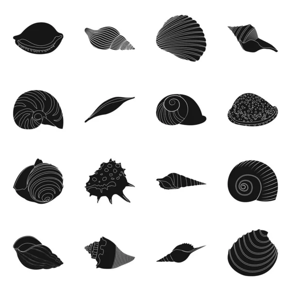 Vector illustratie van natuur en Oceaan pictogram. Set van natuur en slakken voorraad symbool voor web. — Stockvector