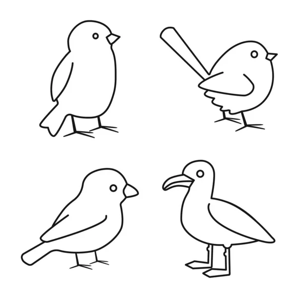 Ilustración vectorial de animal y salvaje icono. Colección de animales y plumaje stock vector ilustración . — Vector de stock
