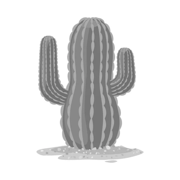 Conception vectorielle de cactus et logo sud. Élément Web de l'illustration vectorielle de stock de cactus et d'Amérique . — Image vectorielle