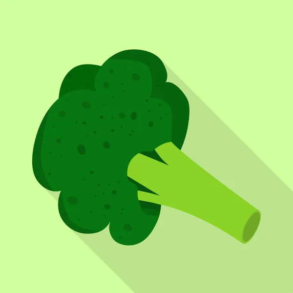 Brokoli ve sebze tabelalarının vektör tasarımı. Brokoli ve karnabahar stok vektör çizimi. — Stok Vektör