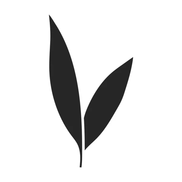 Feuilles de canne à sucre icône vectorielle. Icône vectorielle noire isolée sur fond blanc feuilles de canne à sucre  . — Image vectorielle