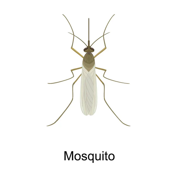 Mosquito vector icon.Cartoon vector icon isolated on white background mosquito. — Stock Vector