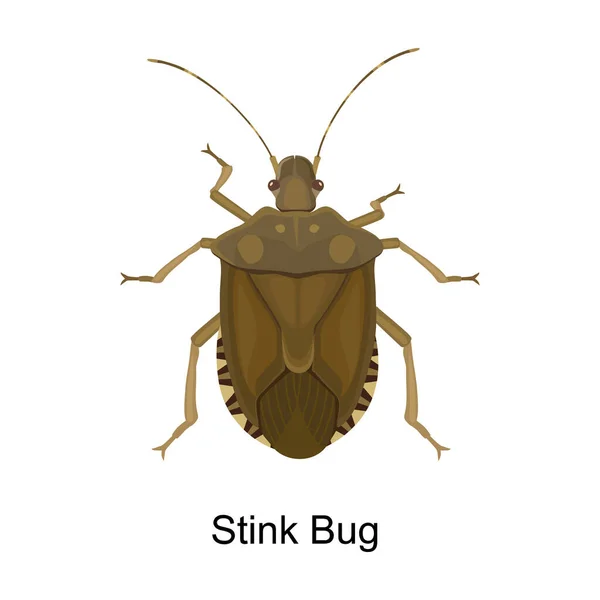 Bug stink vector icon.Cartoon vector icon isolated on white background bug stink. — Stock Vector