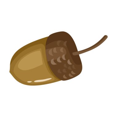 Meşe palamudu üzerine izole edilmiş karikatür vektör simgesi .