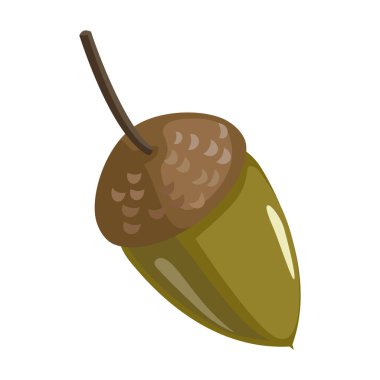 Meşe palamudu üzerine izole edilmiş karikatür vektör simgesi .