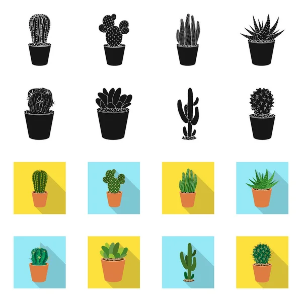 Isolerade objekt av kaktus och potten tecken. Samling av kaktus och kaktusar lager vektorillustration. — Stock vektor