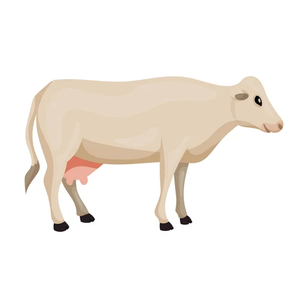 소 (cow of animal vector icon.cartoon vector icon) 동물의 흰 뒷배경 소에 분리되어 있다.. — 스톡 벡터