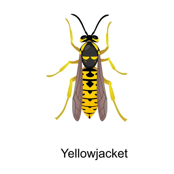 在白色背景的大黄蜂上孤立的卡通矢量图标. — 图库矢量图片