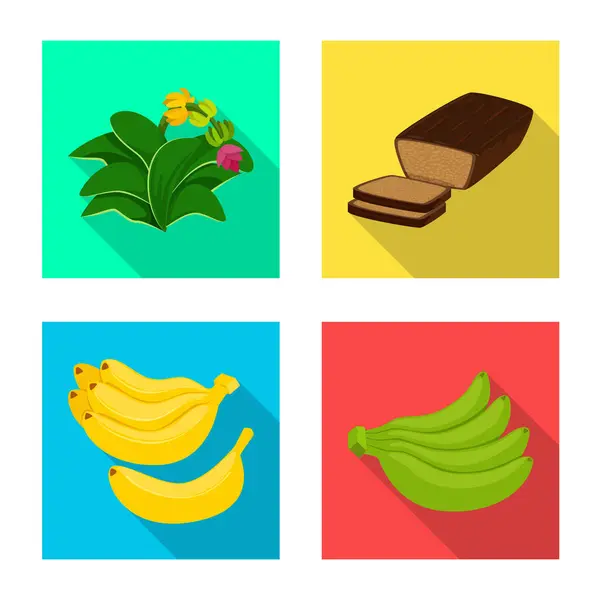 Ilustración vectorial de signo natural y vegetariano. Colección de naturales y comer icono de vectores para la acción . — Vector de stock