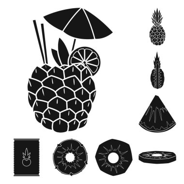 Ananas meyve vektörü simgesi seti. Vektör izole edilmiş ananas ve tatlı. Meyve ve yiyecek ikonu..