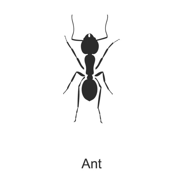 Insect mier vector icon.Black vector pictogram geïsoleerd op witte achtergrond insect mier. — Stockvector