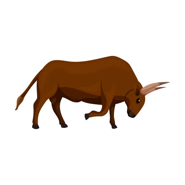 Toro icono vectorial. Icono vectorial de dibujos animados aislado sobre fondo blanco toro . — Vector de stock