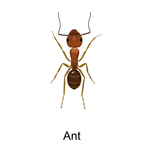 Иконка вектора муравья. Иконка вектора карикатуры изолирована на белом фоне муравья.  . — стоковый вектор