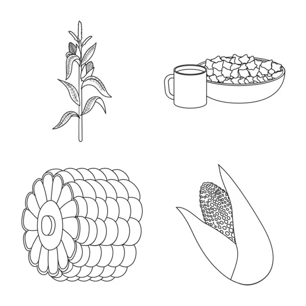 Objeto isolado de fazenda e símbolo de colheita. Conjunto de símbolo de estoque de fazenda e nutrição para web . —  Vetores de Stock