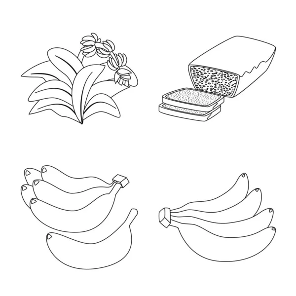 Conception vectorielle du symbole biologique et potassique. Ensemble de symbole de stock bio et diététique pour toile . — Image vectorielle
