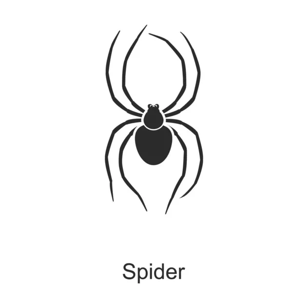 Spider vector icon.Black vector pictogram geïsoleerd op witte achtergrond spin . — Stockvector