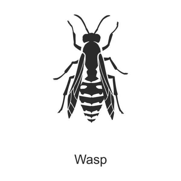 Insectenwesp vector icon.Black vector icoon geïsoleerd op witte achtergrond insectenwesp. — Stockvector