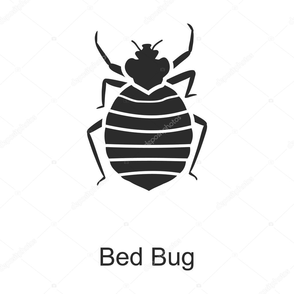 Bedbug vector icon.Black vector icon isolated on white background bedbug .