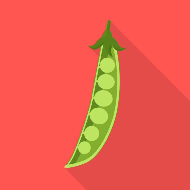 Kabuk ve bezelye sembolünün vektör tasarımı. Stok için kapsül ve baklagil vektör simgesi grafiği.