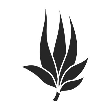 Şeker kamışı vektör simgesi yaprakları. Şeker kamışı yapraklarının beyaz arka planında siyah vektör simgesi izole edilmiş. .