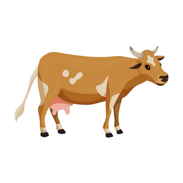 Vache d'icône vectorielle animale.Icône vectorielle de bande dessinée isolée sur fond blanc vache d'animal . — Image vectorielle