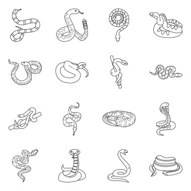Vahşi yılan vektör çizgisi simgesi. Zehirli yılan ve vahşi hayvanın resmi. Simge piton, engerek, kobra kümesi.