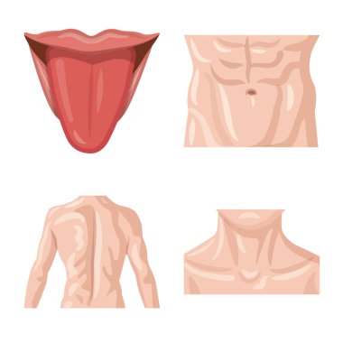 İnsan ve yarım logo vektör Illustration. İnsan topluluğu ve hisse senedi için kadın vektör simgesi.