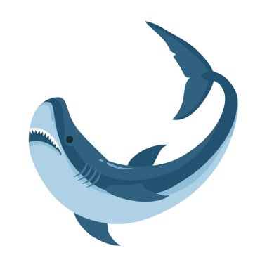 Balık köpekbalığı vektör simgesi. Çizgi film vektör simgesi beyaz arkaplan balık köpekbalığı üzerinde izole .