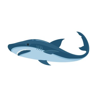 Balık köpekbalığı vektör simgesi. Çizgi film vektör simgesi beyaz arkaplan balık köpekbalığı üzerinde izole .
