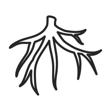 Şeker kamışı vektör simgesinin kökü. Çizgi vektör simgesi şeker kamışının beyaz arkaplan kökü üzerinde izole edilmiş. .