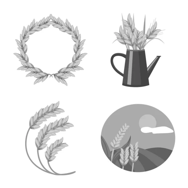 Векторна ілюстрація зерна та символу врожаю. Збірка зерна та ферми Векторна іконка для запасів . — стоковий вектор