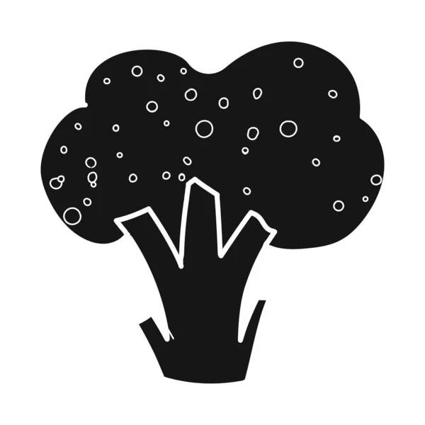 Vektor design av broccoli och grönsaker symbol. Uppsättning av broccoli och livsmedel lager vektor illustration. — Stock vektor