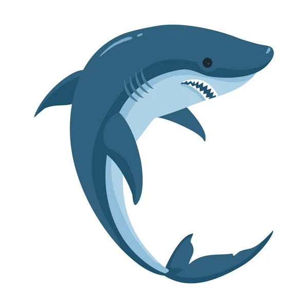 Icono de vector de tiburón. Icono de vector de dibujos animados aislado en el fondo blanco tiburón . — Vector de stock