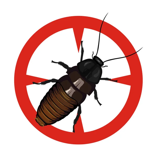 Cockroach insect vector icon.Cartoon vector icon isolated on white background cockroach insect. — Stock Vector