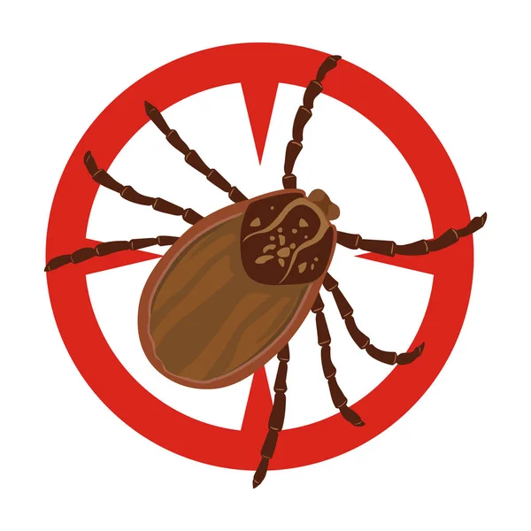 Mite vector icon.Cartoon vector icon isolated on white background mite. — Stock Vector