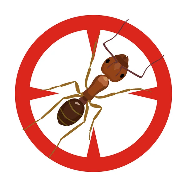 Ant vecteur icon.Cartoon vecteur icône isolée sur fond blanc fourmi  . — Image vectorielle