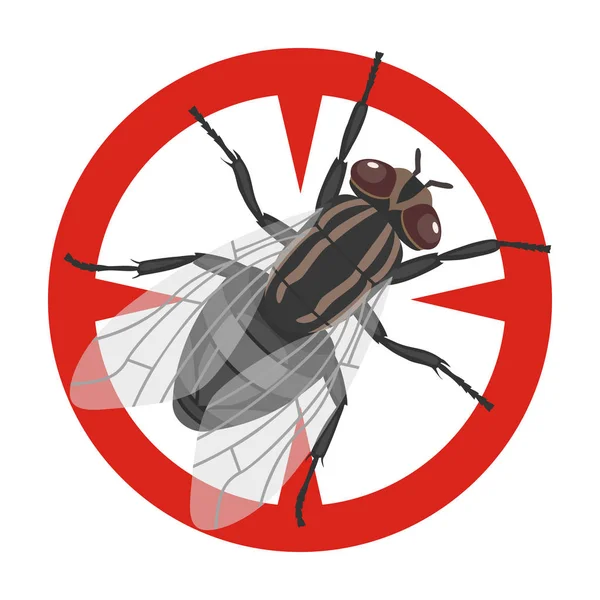 Icono del vector de la mosca del insecto icon.Cartoon aislado en el fondo blanco mosca del insecto . — Vector de stock