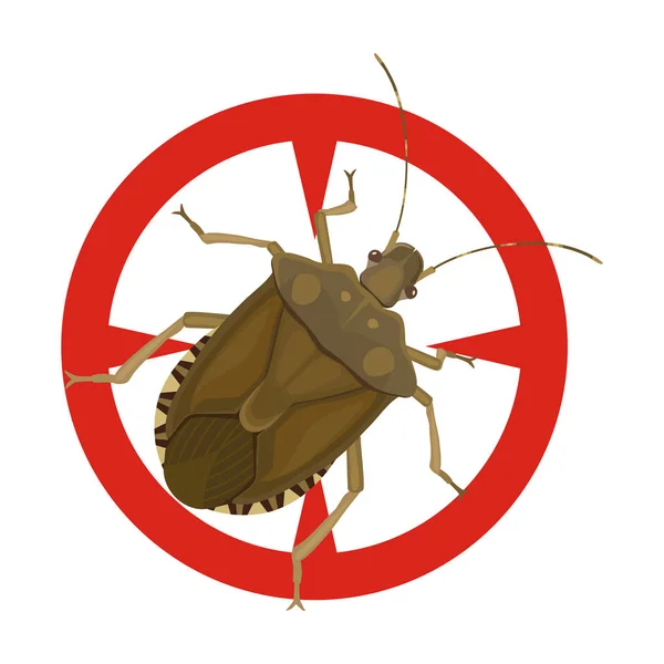 Bug stink vektor icon.Cartoon vector icon terisolasi di white background bug stink . - Stok Vektor
