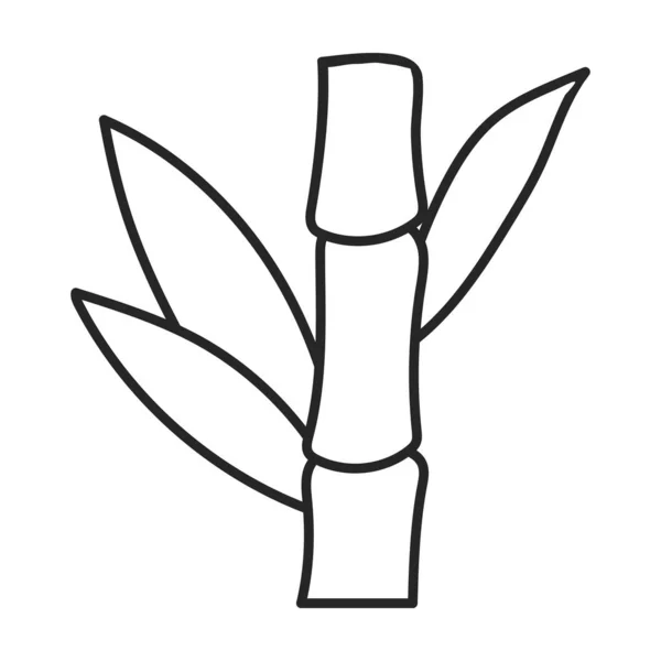 Ikona wektora trzciny cukrowej wyizolowana na białym łodydze trzciny cukrowej . — Wektor stockowy