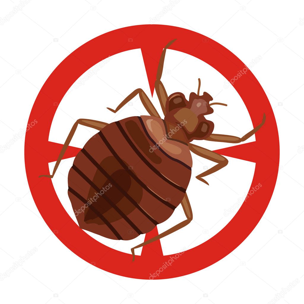 Bedbug vector icon.Cartoon vector icon isolated on white background bedbug .
